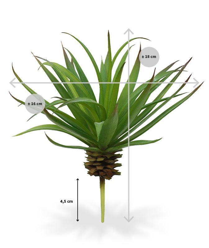 Marginata Mini kunstplant 18cm