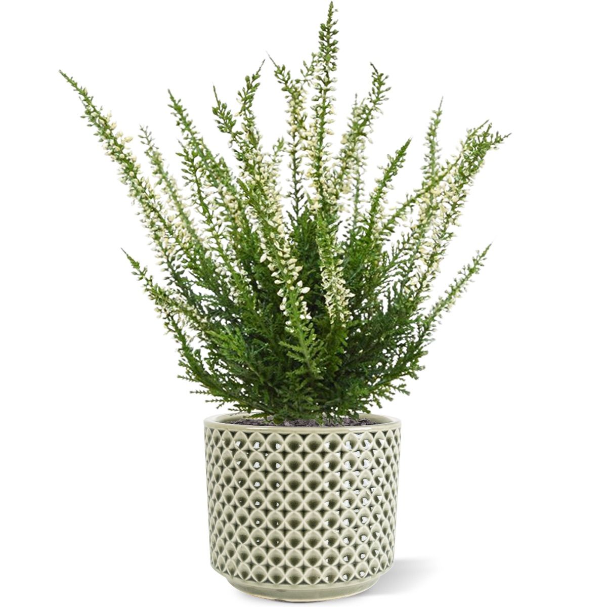 Erica heide kunstplant 25cm - creme of roze met kweekpotje