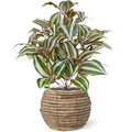 Tradescantia Zebrina kunstplant 40cm zonder kweekpotje