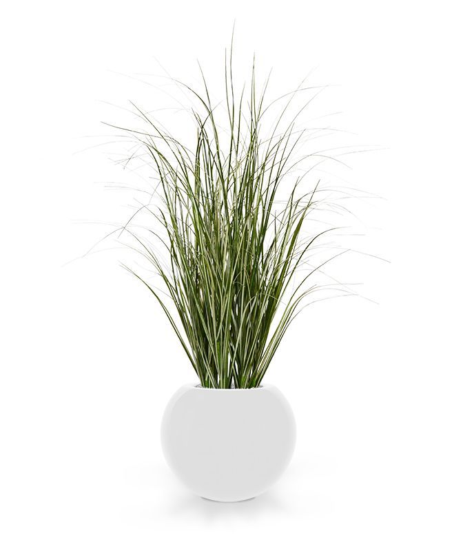 Kunst Rietgras plant 60cm - groen/creme