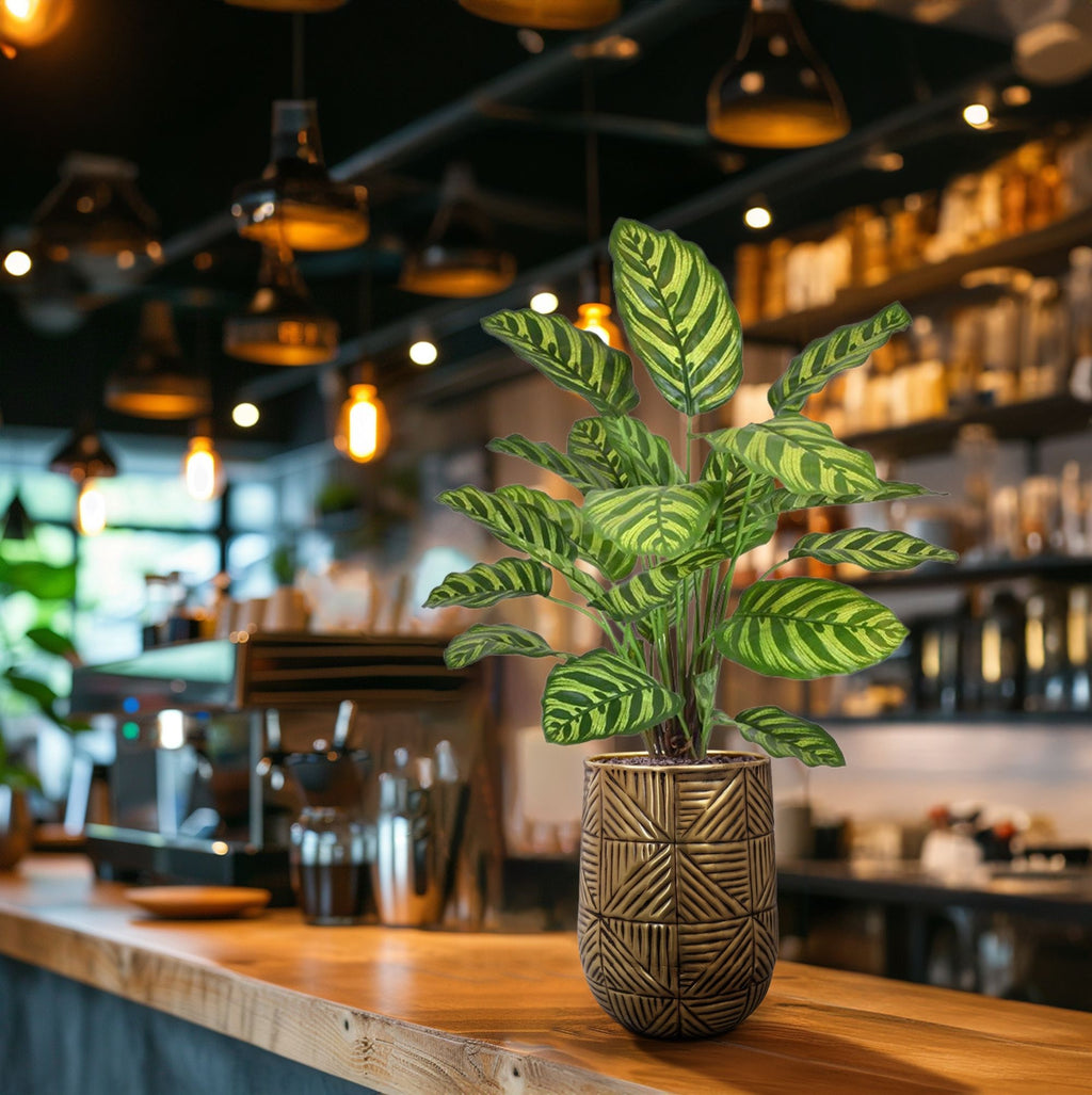 Calathea Makoyana kunstplant 60cm