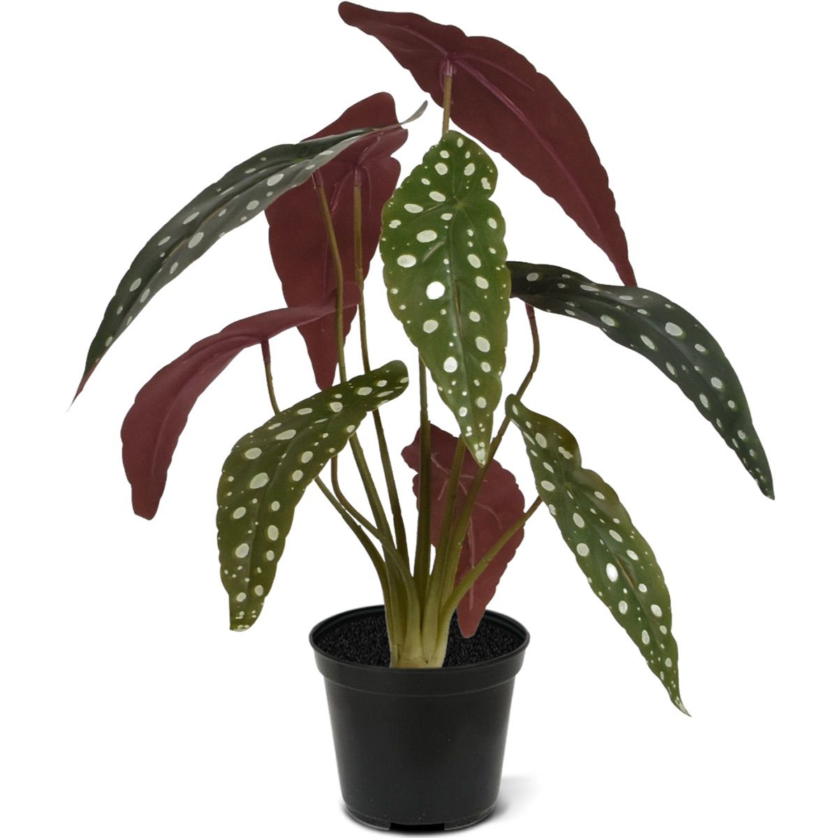 Begonia Maculata kunstplant 35cm