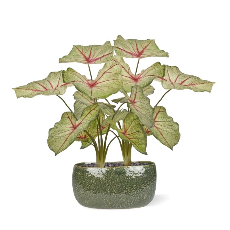Caladium raspberry kunstplant 40cm zonder kweekpotje