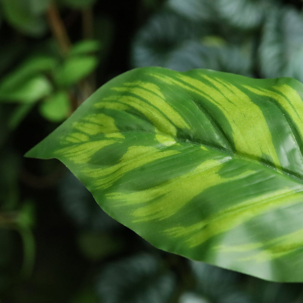 Calathea Maranta Kunstplant 40cm