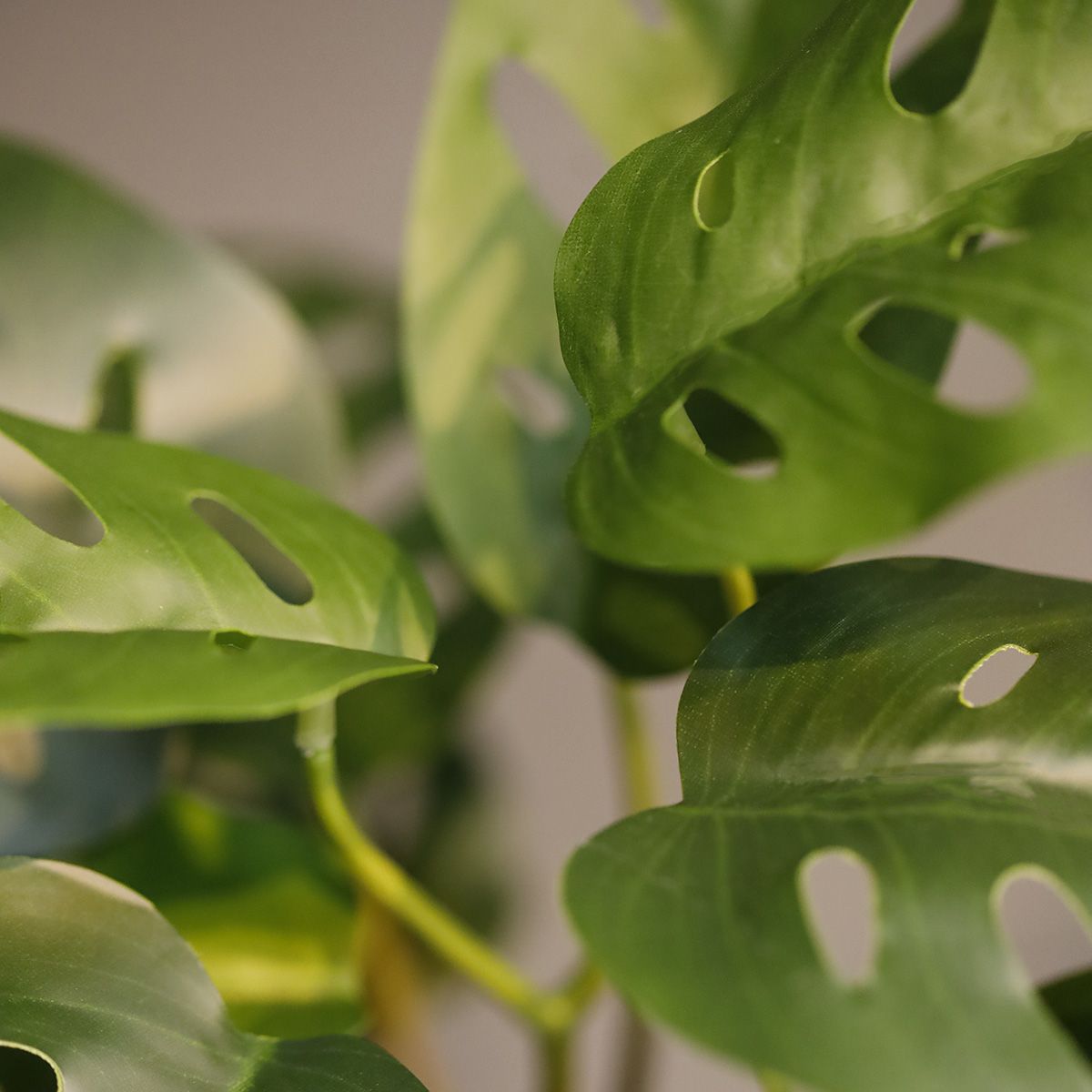 Monstera Adansonii Kunstplant 30cm