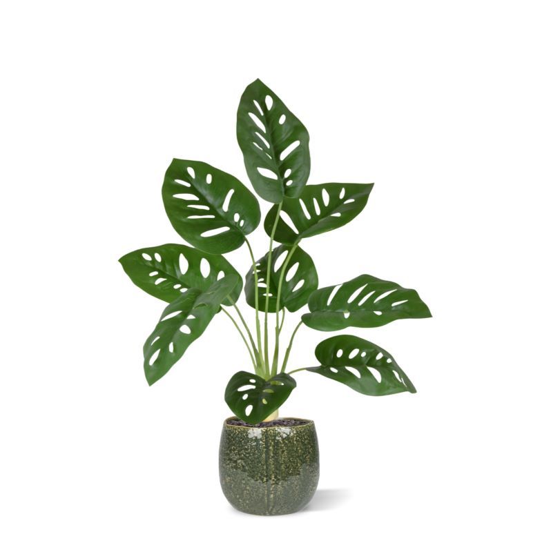 Monstera Adonsonii kunstplant 40cm in pot