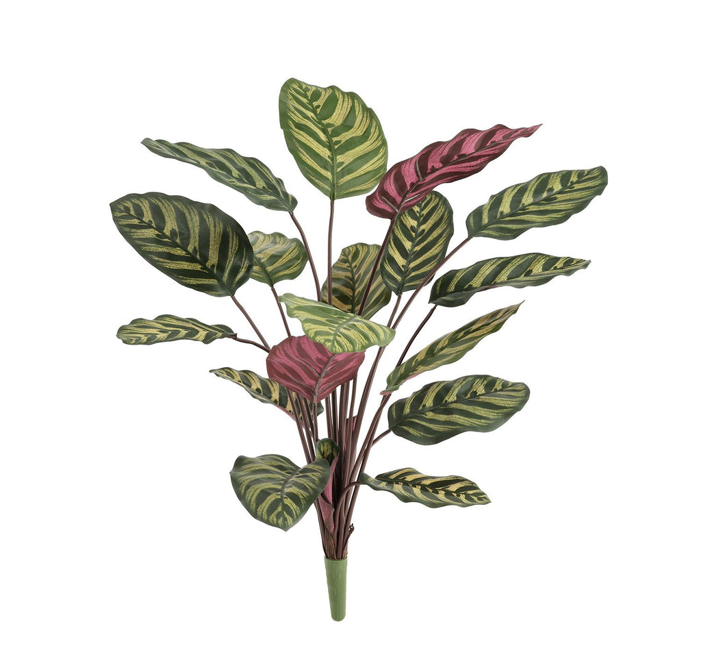 Red Calathea Makoyana FR Kunstplant 60cm