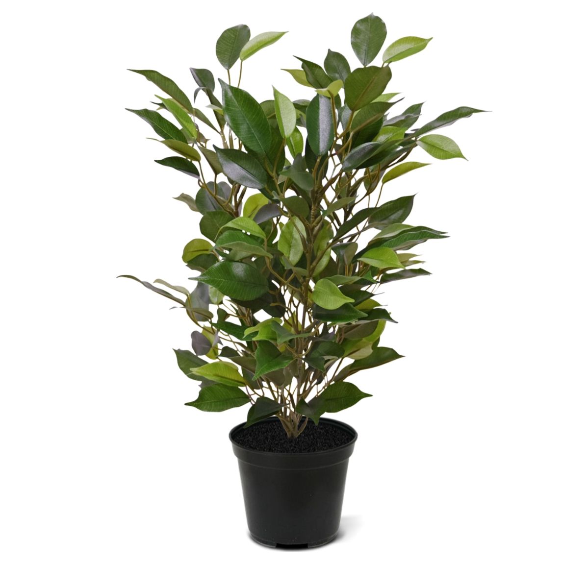 Ficus Natasja Kunstplant 40cm in 10cm pot