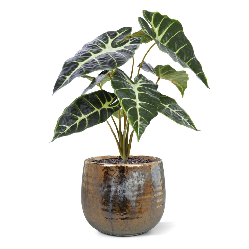 Alocasia Kunstplant Promo 40cm groen