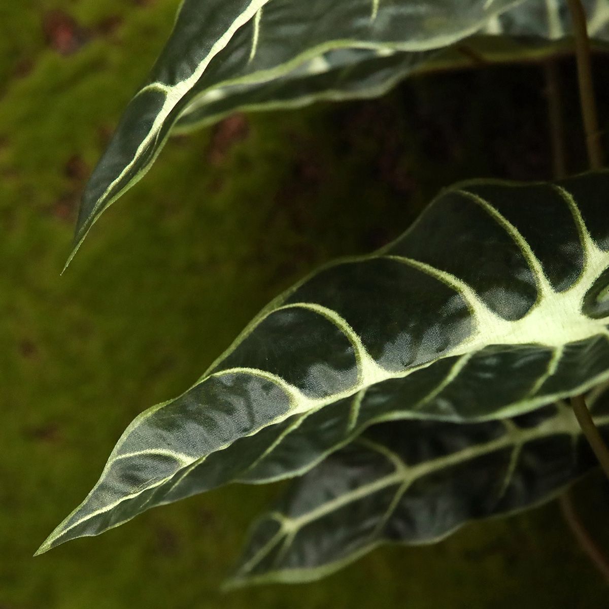 Alocasia Kunstplant Promo 40cm groen