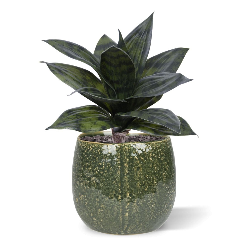 Sanseveria Kunstplant 25cm groen