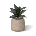 Sanseveria Kunstplant 25cm groen