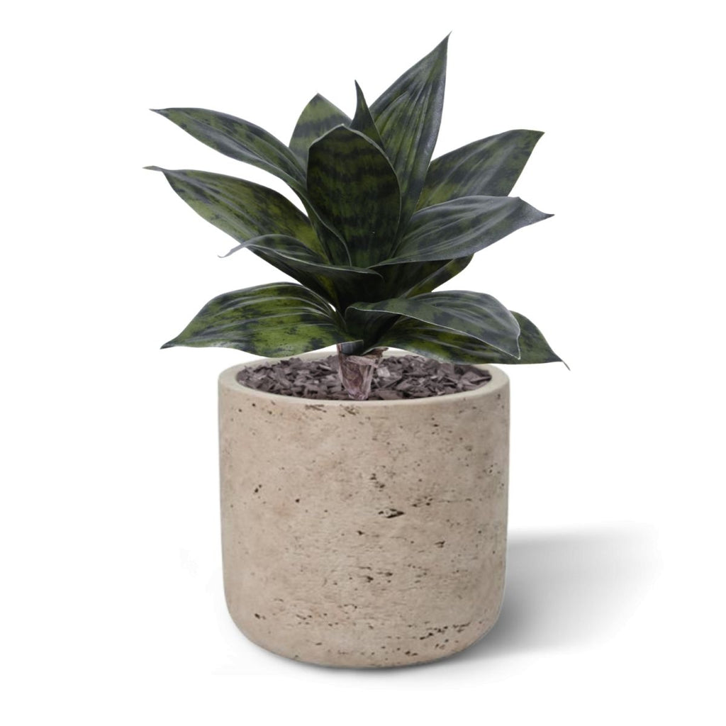 Sanseveria Kunstplant 25cm groen
