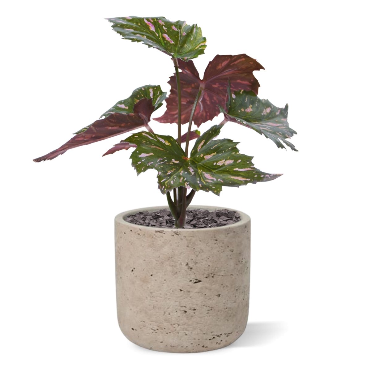 Begonia Rex kunstplant groen rood 20cm