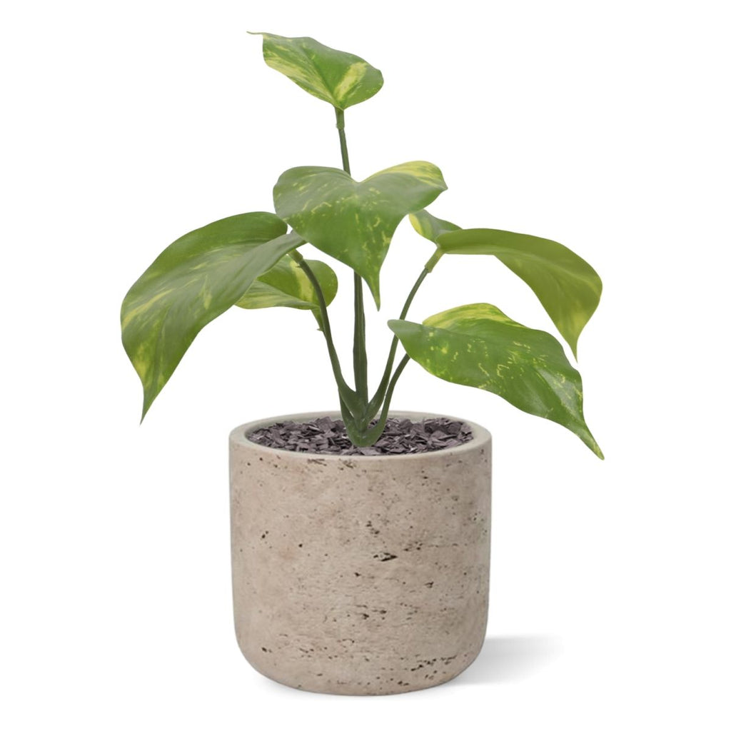 Pothos kunstplant bont 20cm