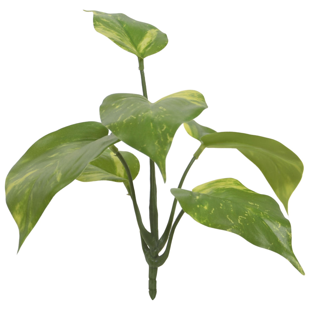Pothos kunstplant bont 20cm