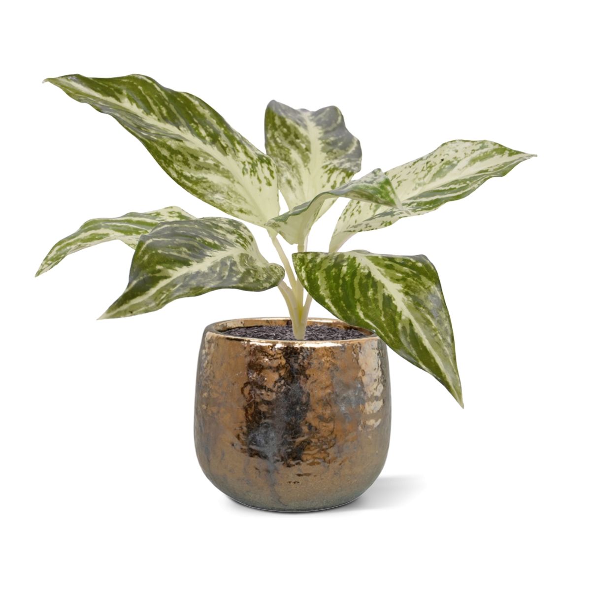 Dieffenbachia Vesuvius kunstplant 35cm