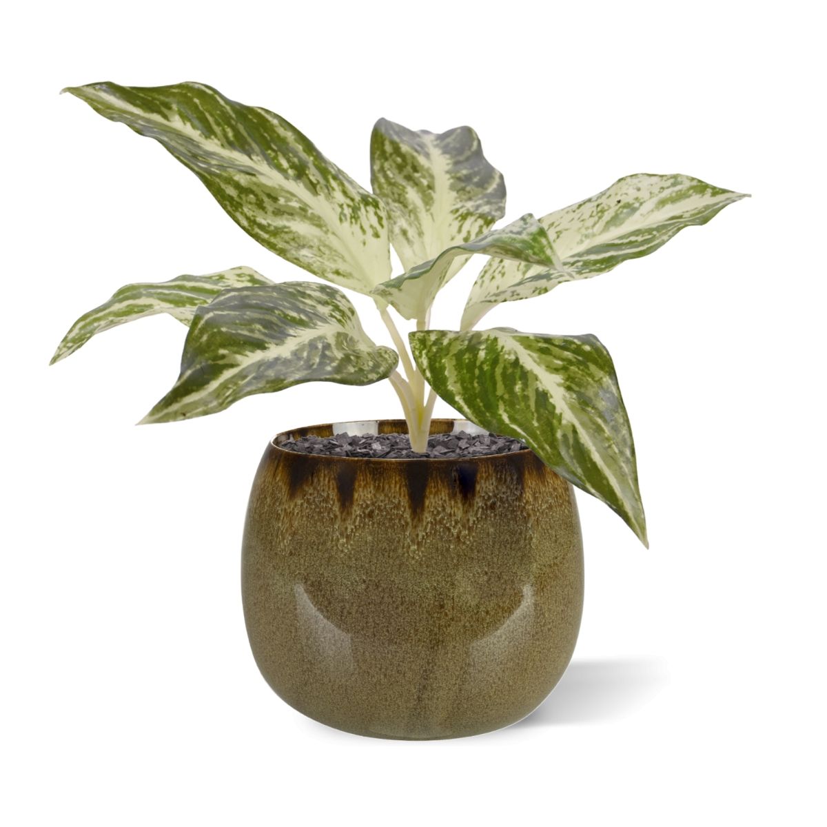 Dieffenbachia Vesuvius kunstplant 35cm