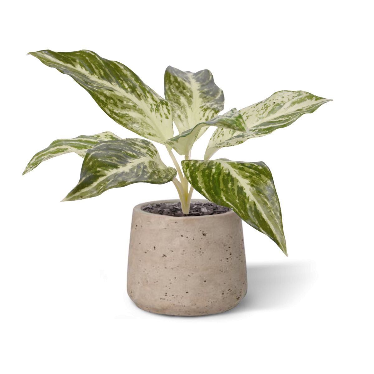 Dieffenbachia Vesuvius kunstplant 35cm