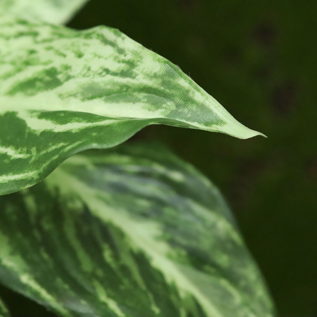 Dieffenbachia Vesuvius kunstplant 35cm