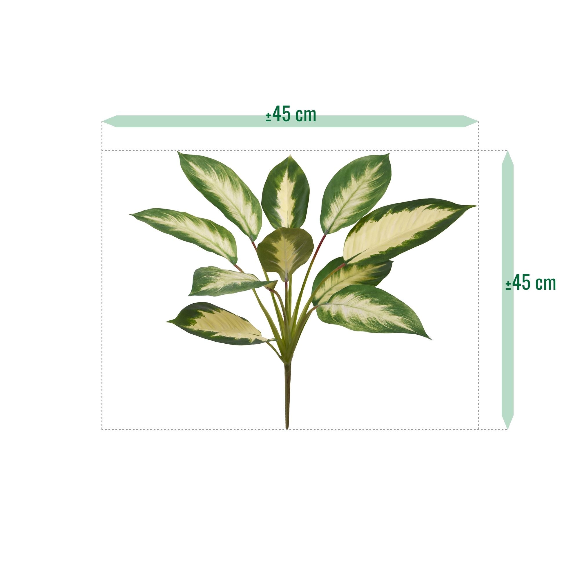 Dieffenbachia Camilla kunstplant 50cm