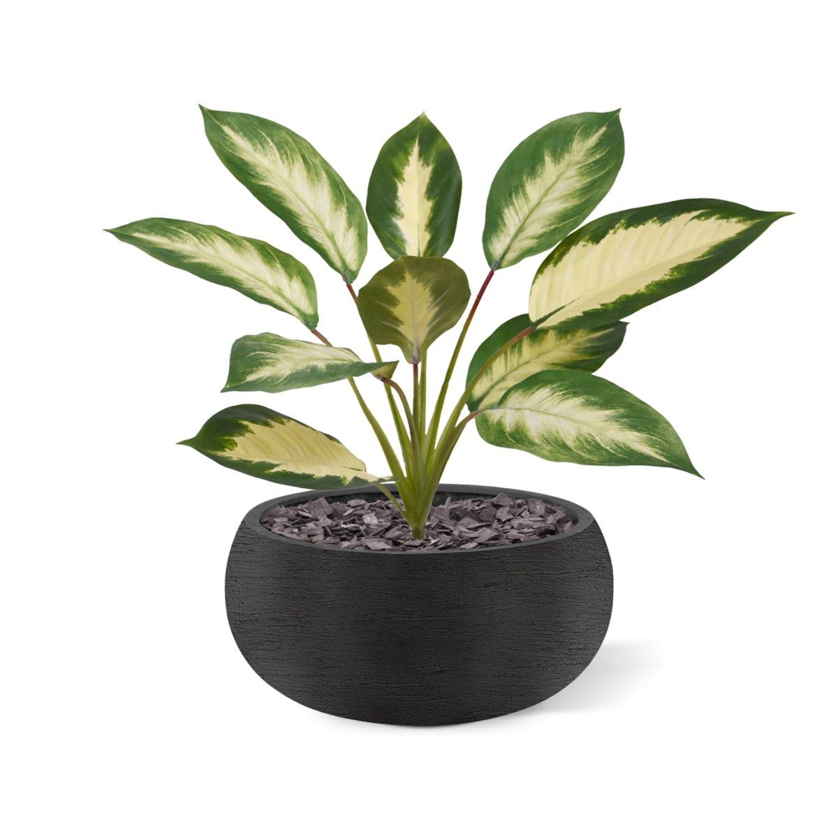Dieffenbachia Camilla kunstplant 50cm