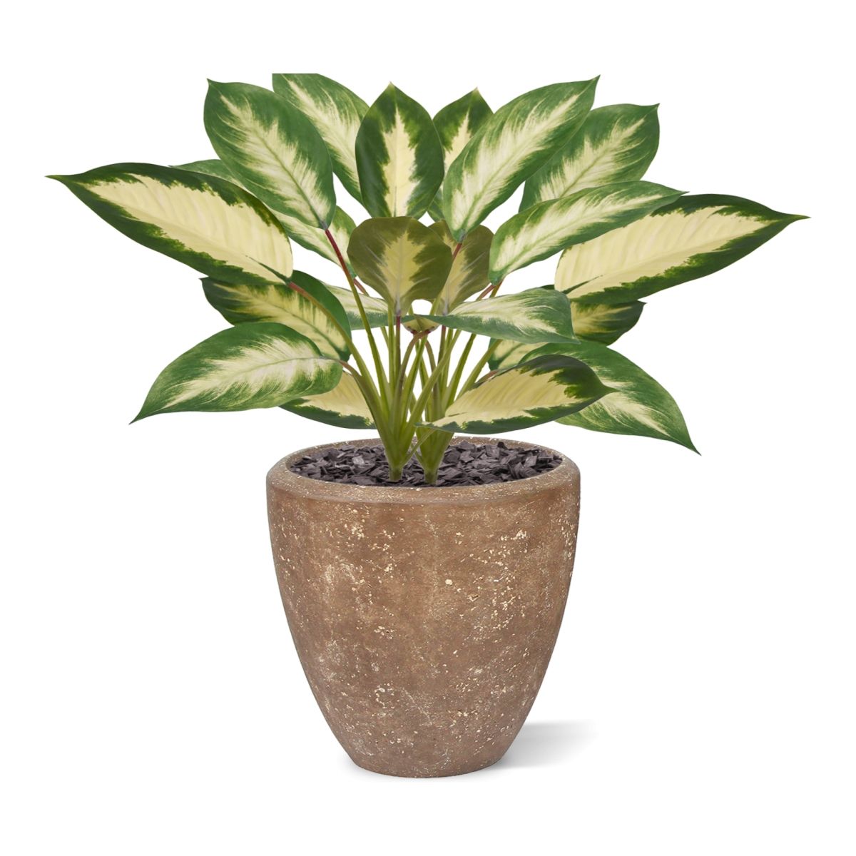 Dieffenbachia Camilla kunstplant 50cm