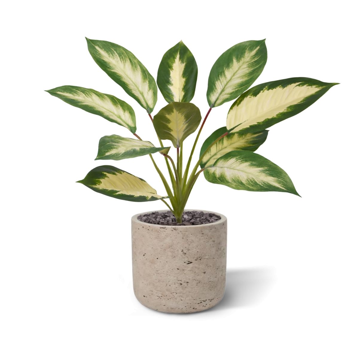 Dieffenbachia Camilla kunstplant 50cm