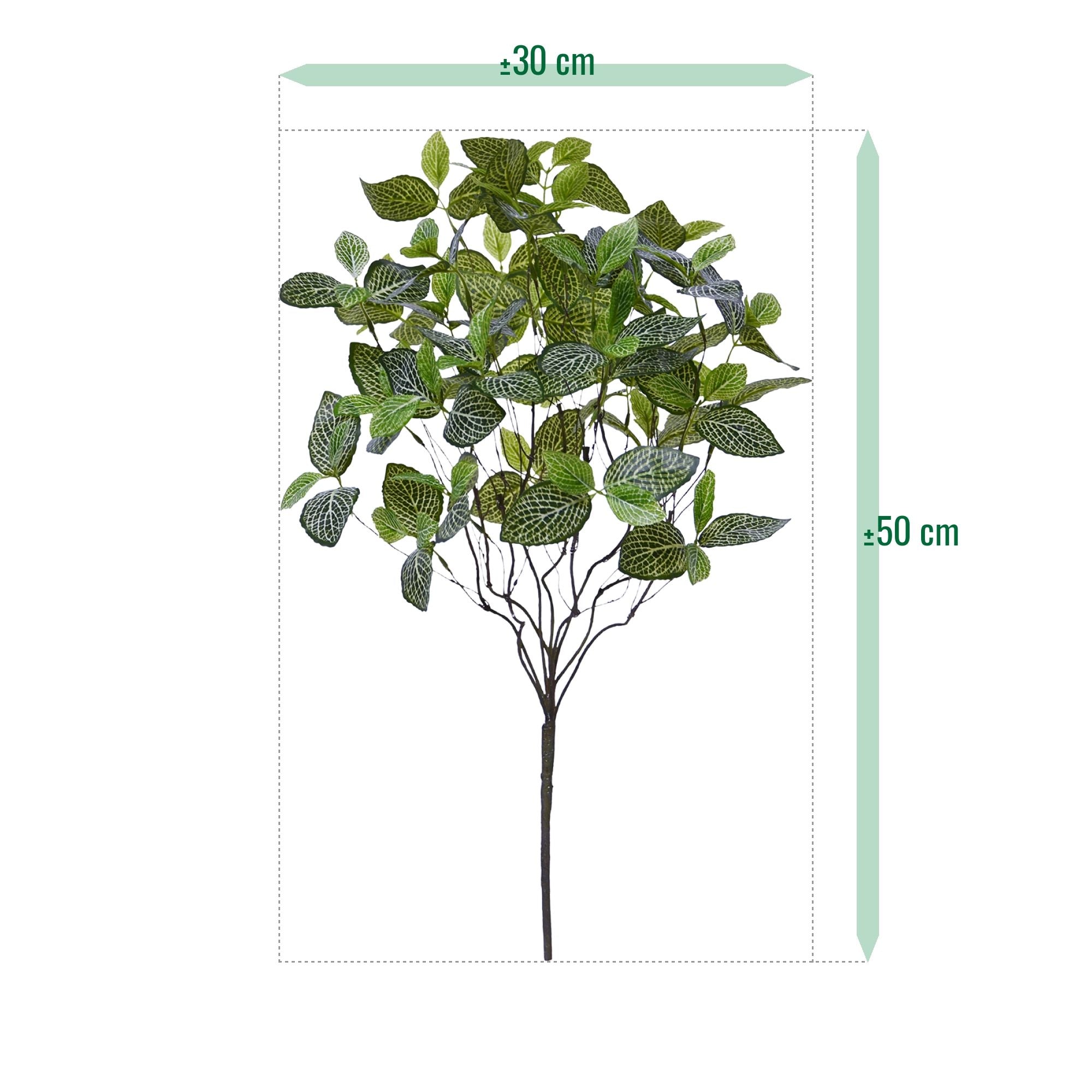 Fittonia Mont Blanc kunstplant 50cm