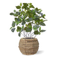 Fittonia Mont Blanc kunstplant 50cm