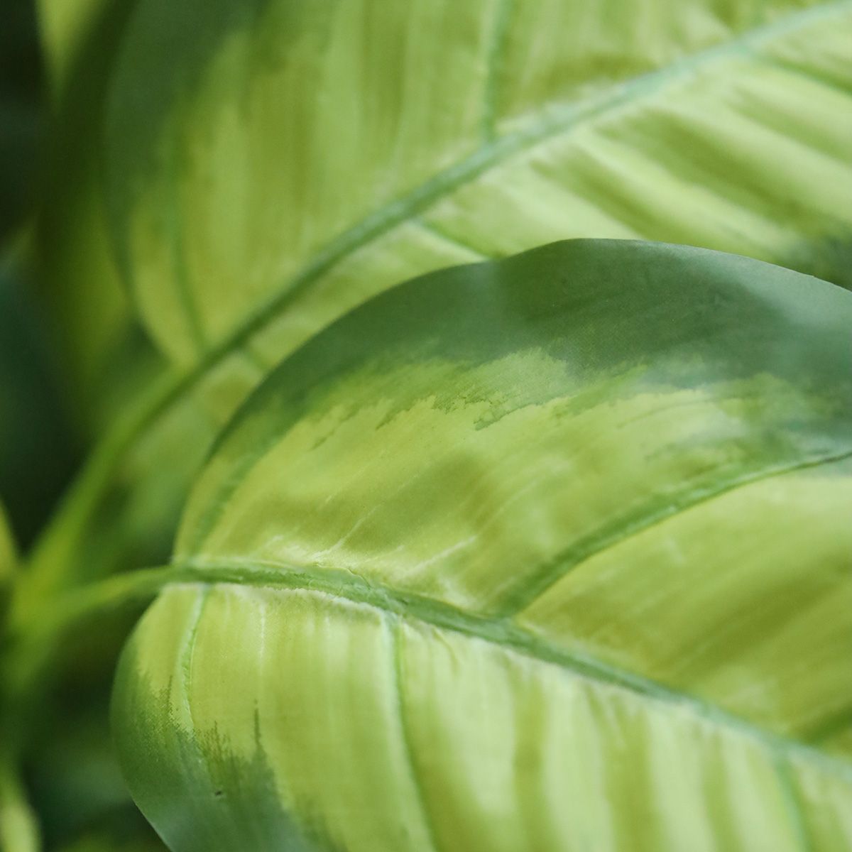 Dieffenbachia Kunstplant 55cm