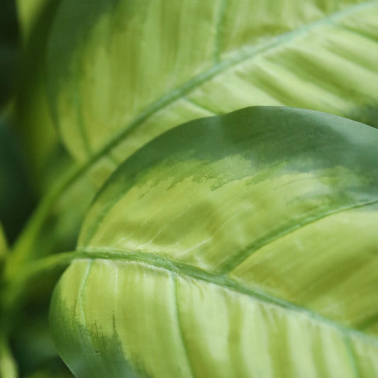 Dieffenbachia Kunstplant 55cm