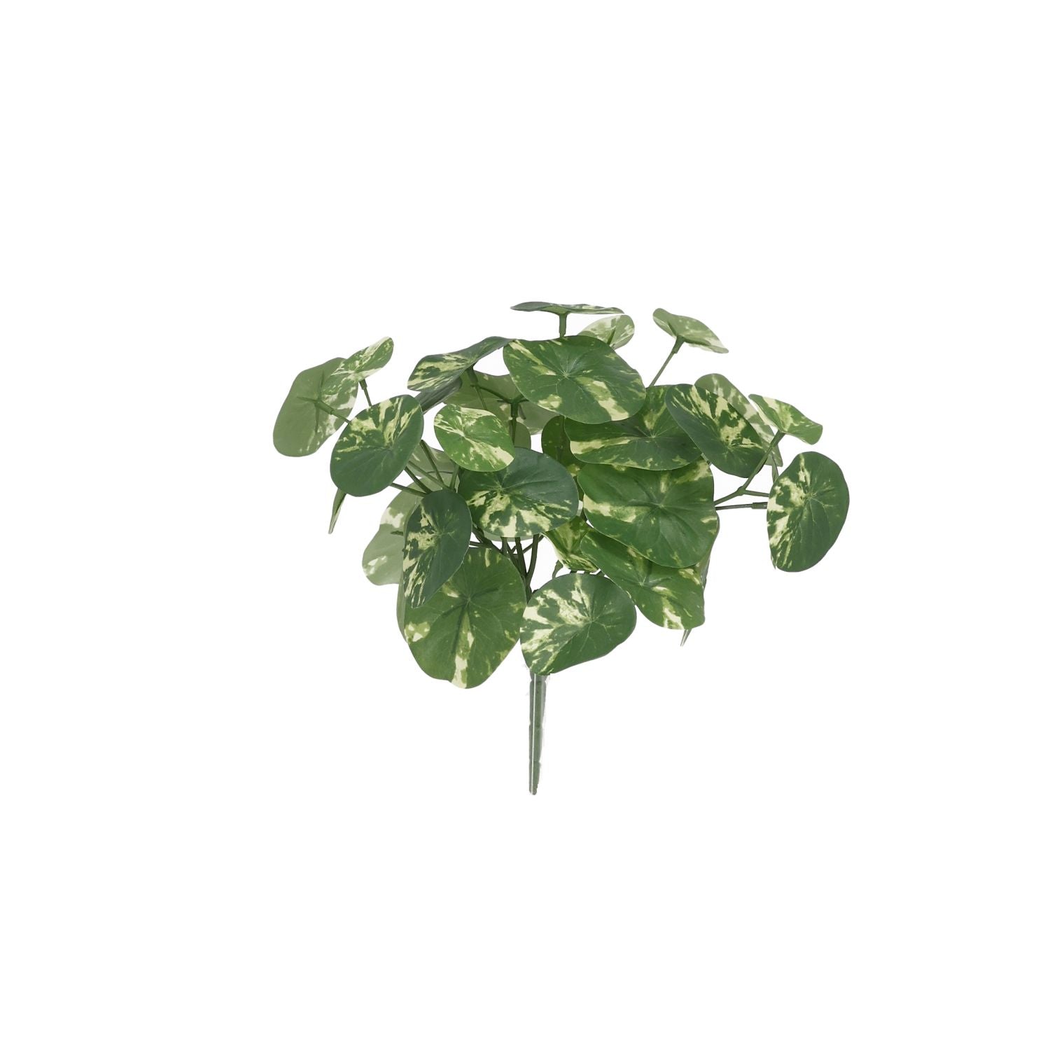Stephania Erecta Kunstplant 23cm Bont