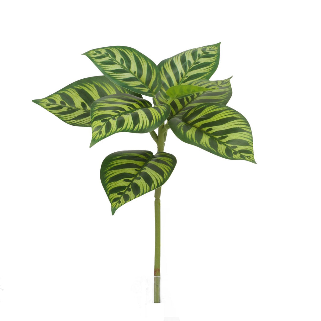 Calathea Makoyana Kunstplant 25cm bont