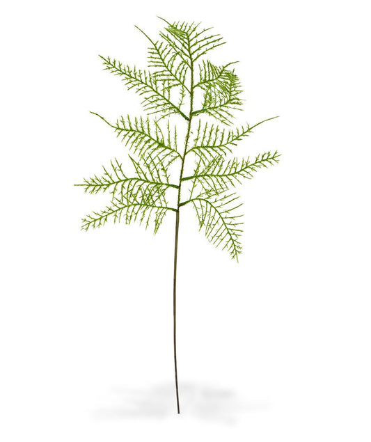 Asparagus kunsttak 55 cm