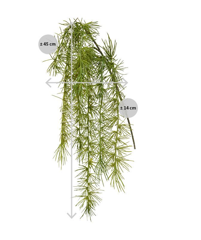 Asparagus Spengeri kunsttak 40 cm