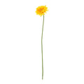 Gerbera Vanda Kunstbloem 48cm Geel