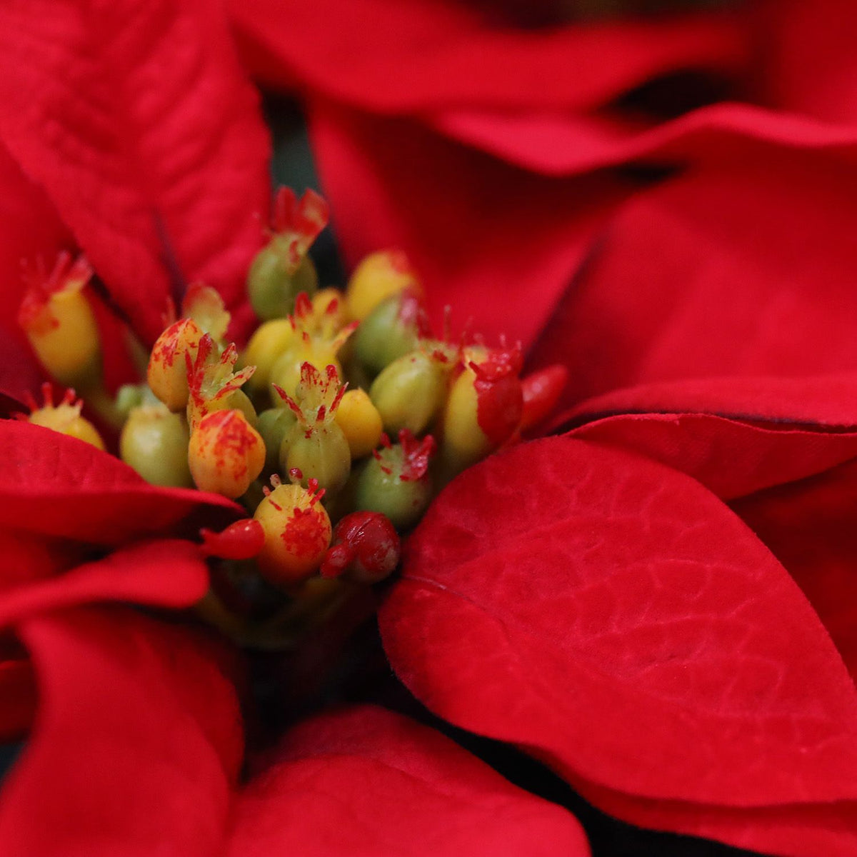 Kerstster Poinsettia kunstplant 40cm in kweekpot