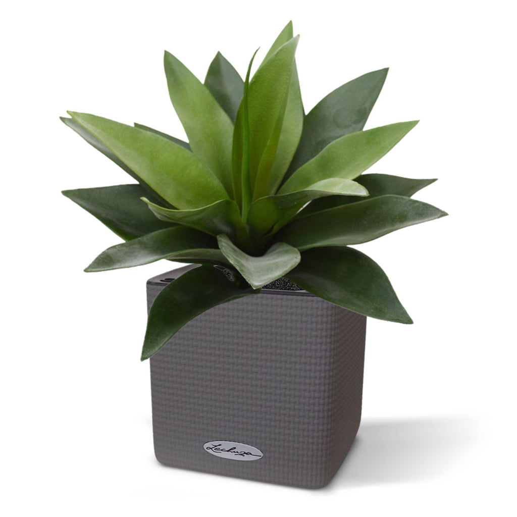 Agave kunstplant 25cm in 10cm pot