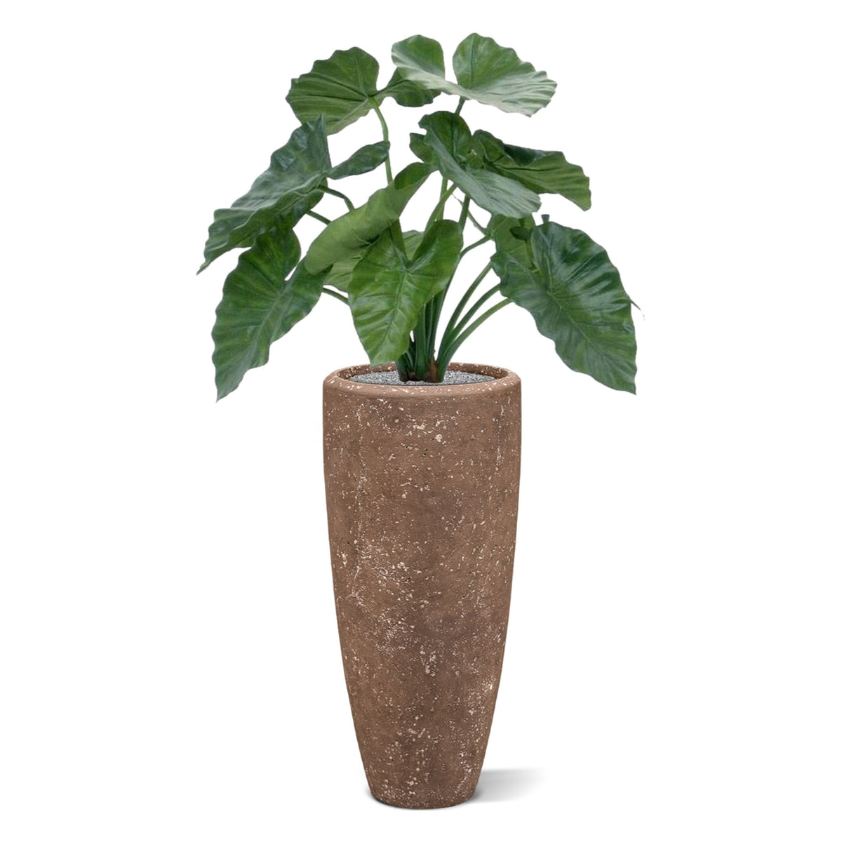 Alocasia Calidora kunstplant 60cm