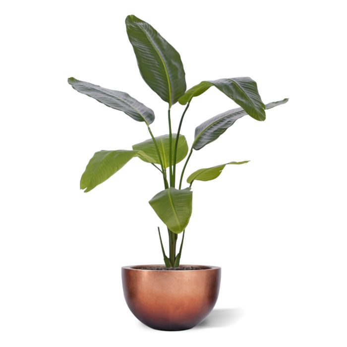 Strelitzia Nicolai kunstplant 120cm