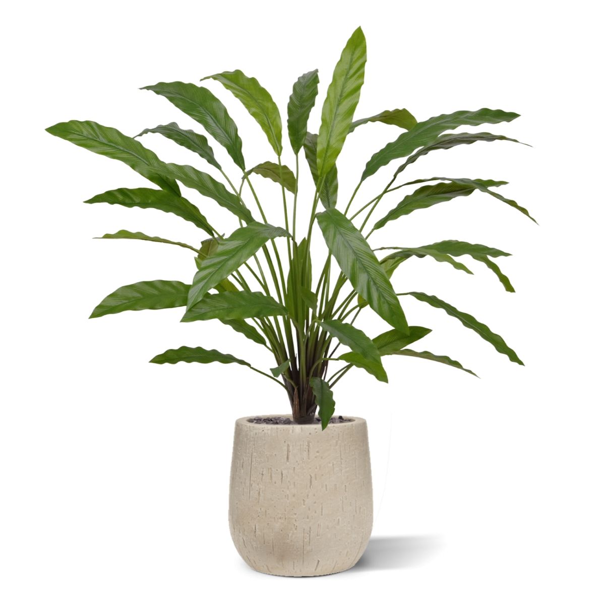 Calathea 75cm Kunstplant groen