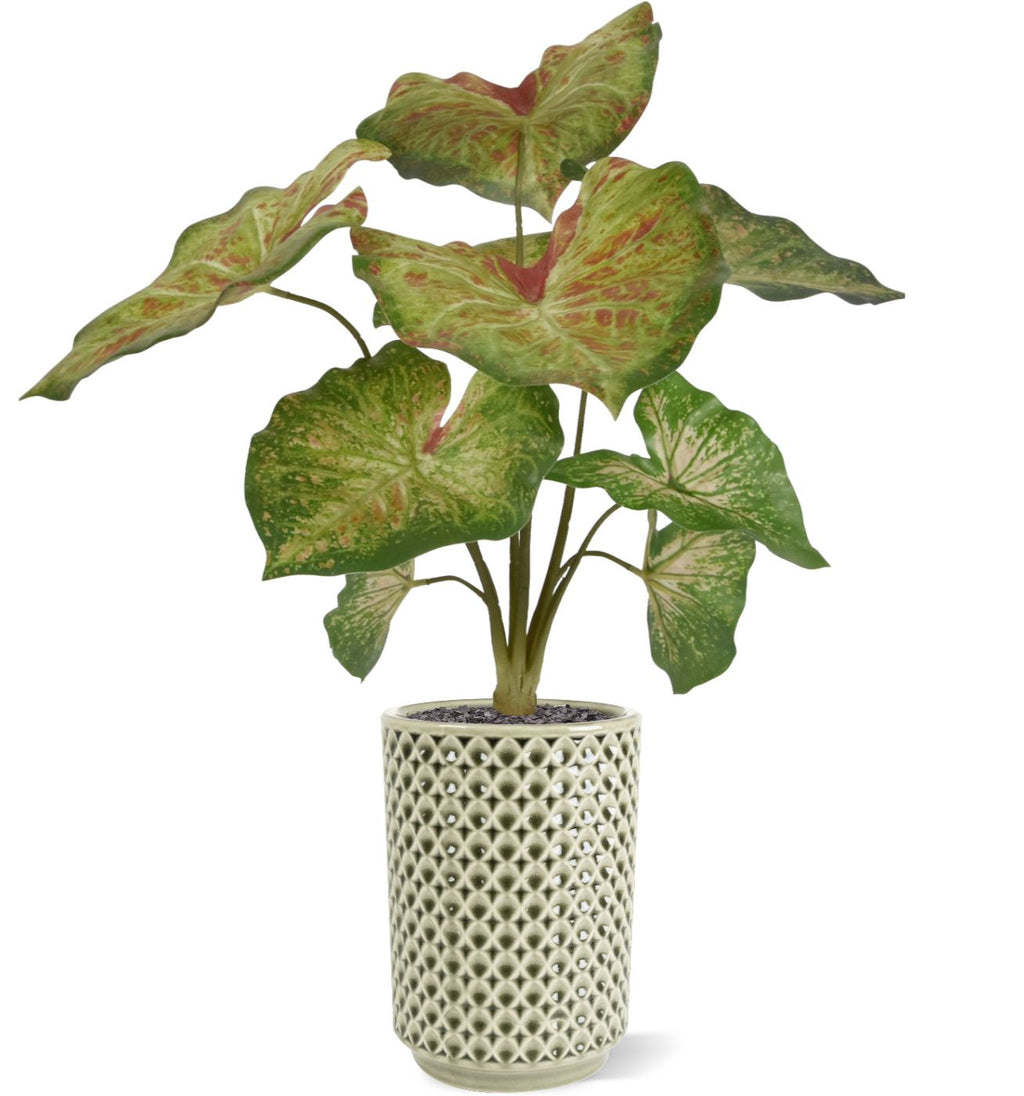 Caladium raspberry kunstplant 40cm zonder kweekpotje