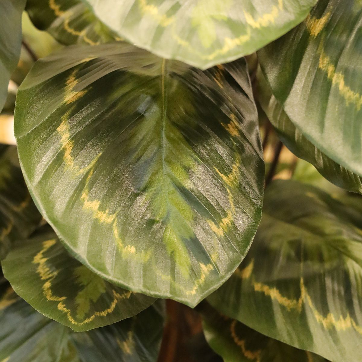 Calathea Roseopicta kunstplant Deluxe 125cm rood