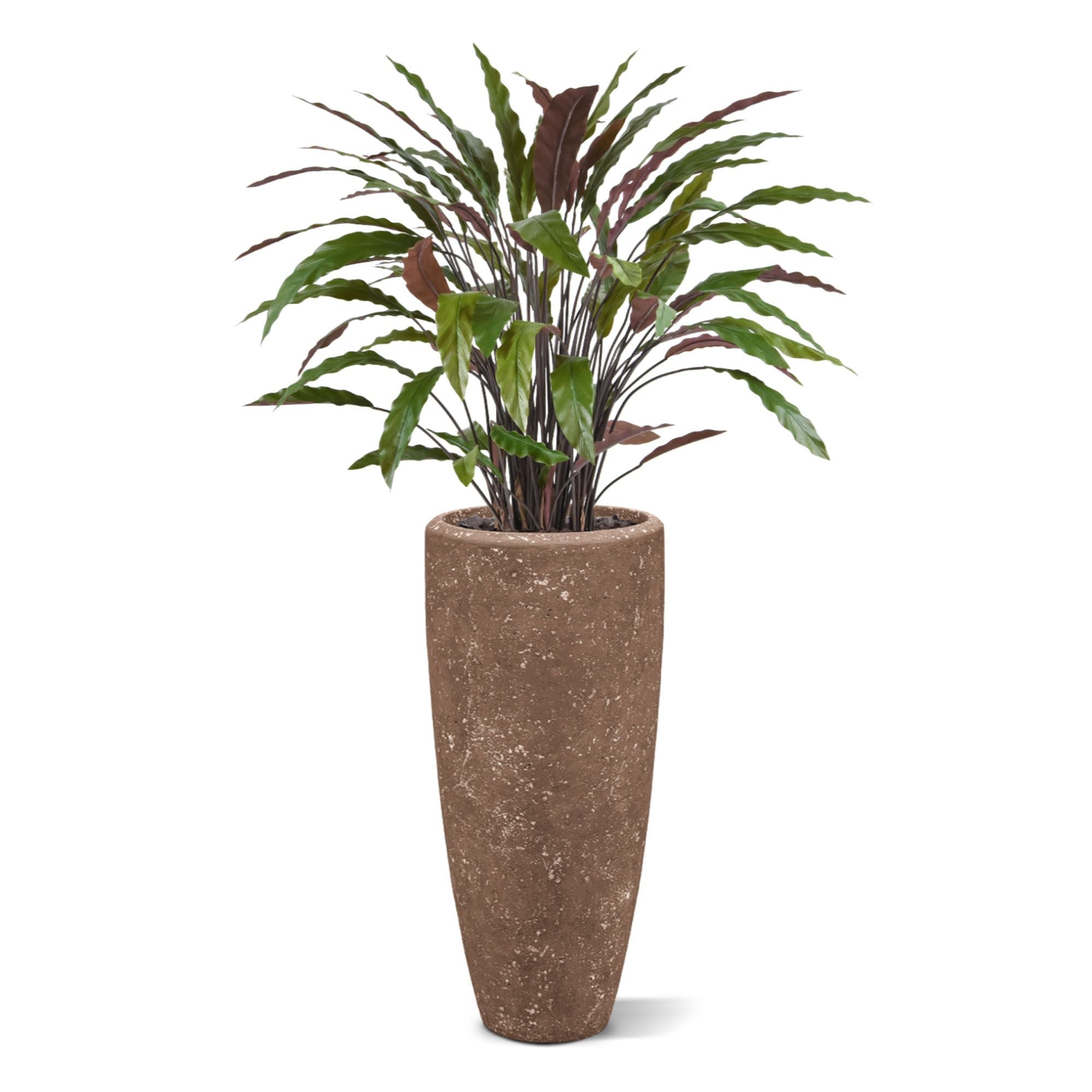 Calathea kunstplant 85cm - groen/rood