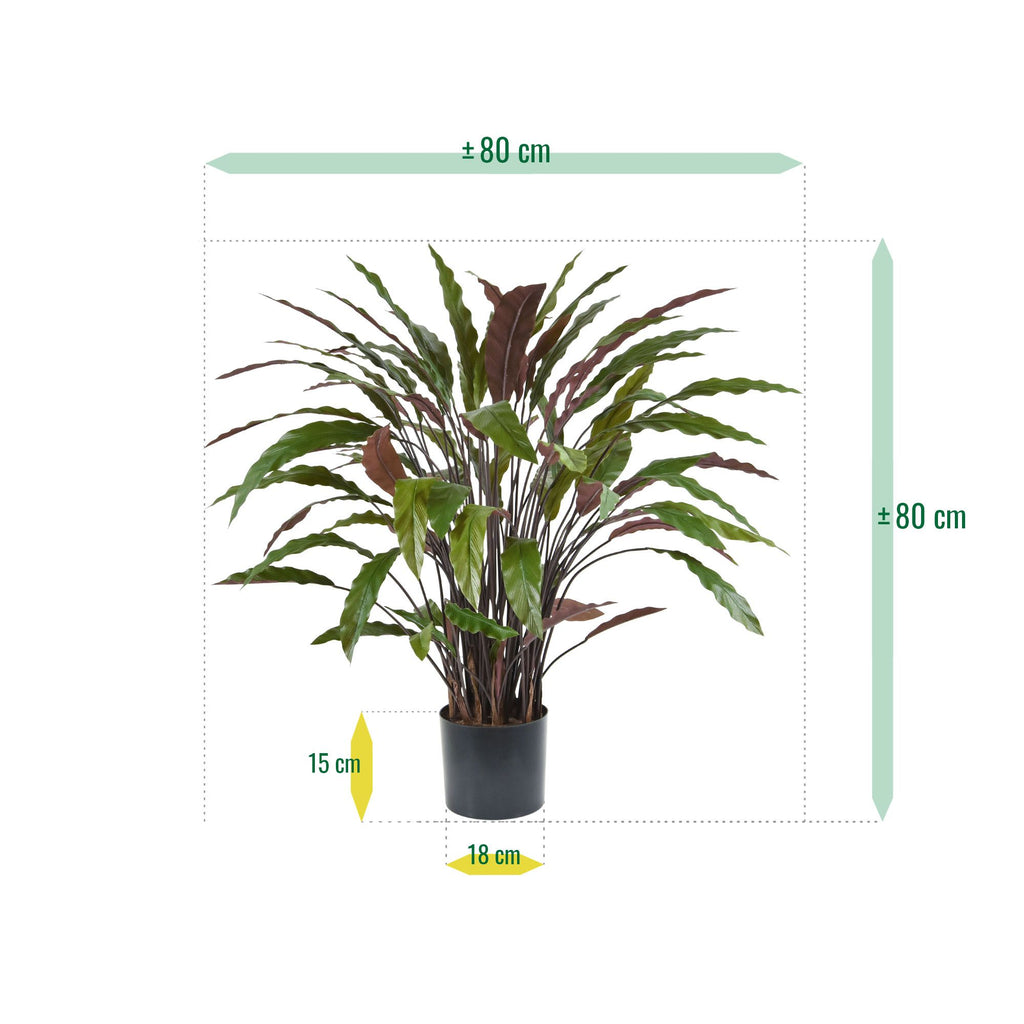 Calathea kunstplant 85cm - groen/rood