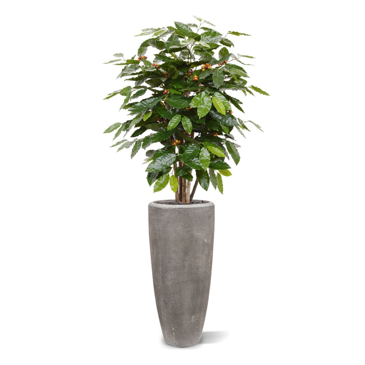 Coffee Arabica kunstplant 100cm