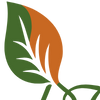 VerdeFlora