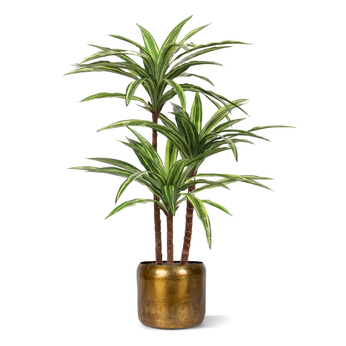 Draceana Massangeana kunstplant Deluxe 95cm