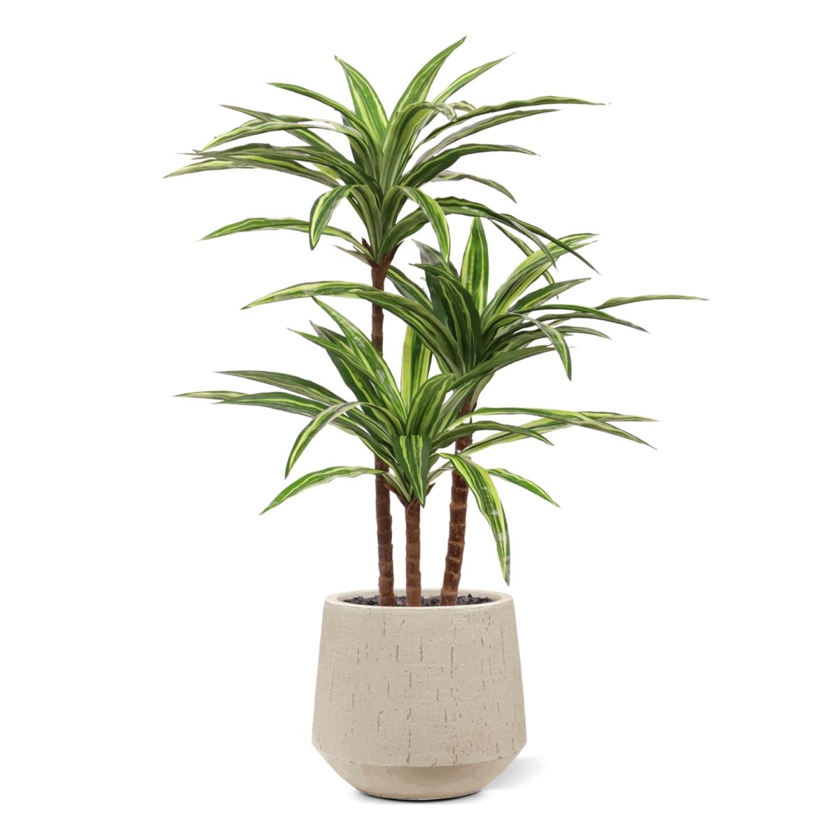 Draceana Massangeana kunstplant Deluxe 95cm